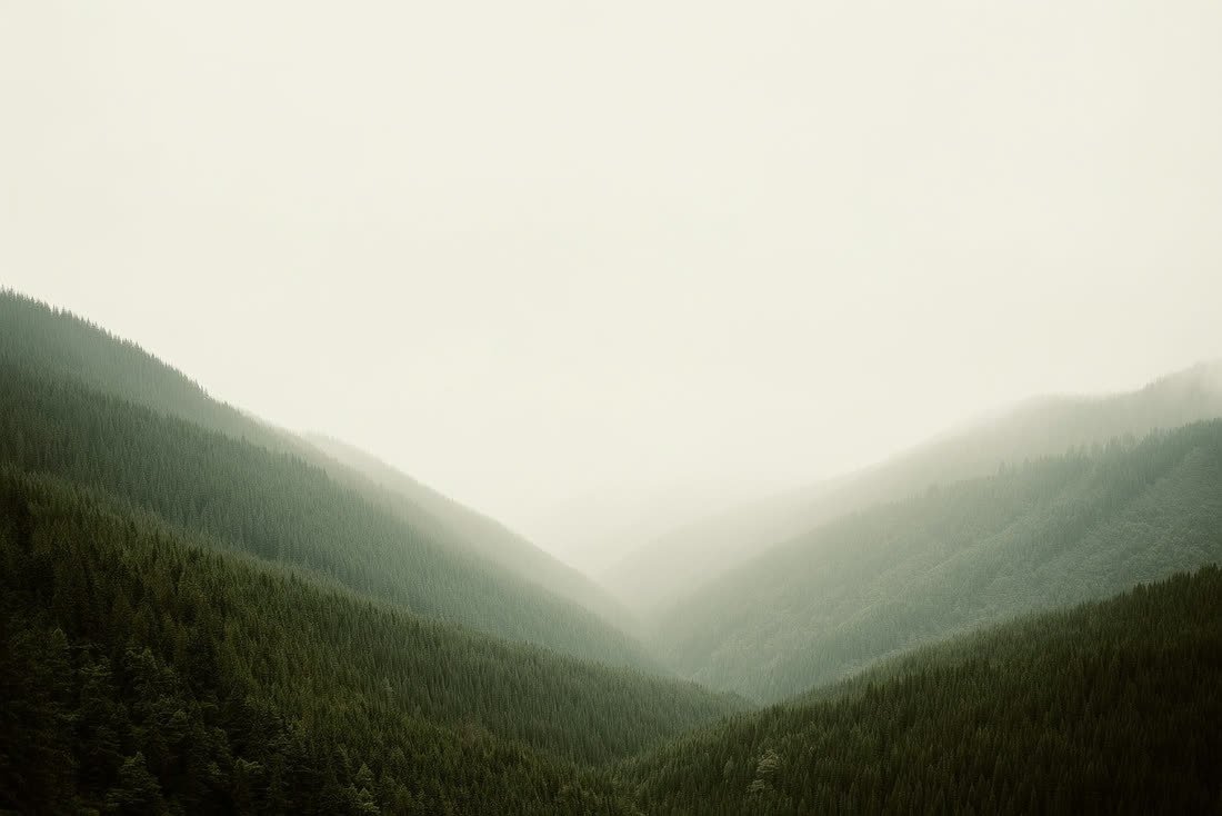 A misty valley seen from high on one slope, wooded ridges receding in pale layers