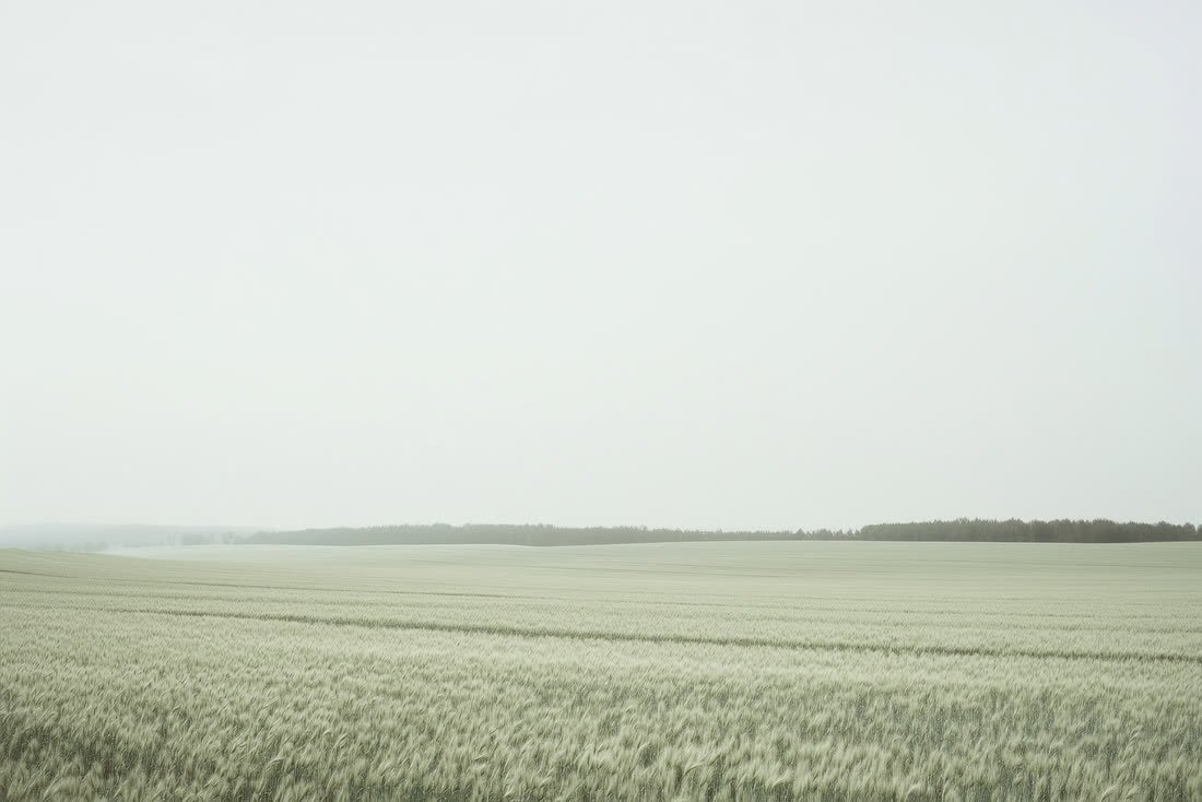 A very wide flat horizon of open fields under a pale sky with a distant treeline